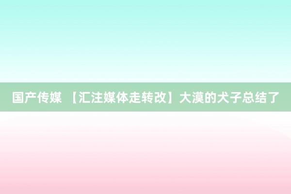 国产传媒 【汇注媒体走转改】大漠的犬子总结了