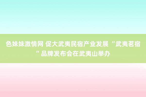 色妹妹激情网 促大武夷民宿产业发展 “武夷茗宿”品牌发布会在武夷山举办