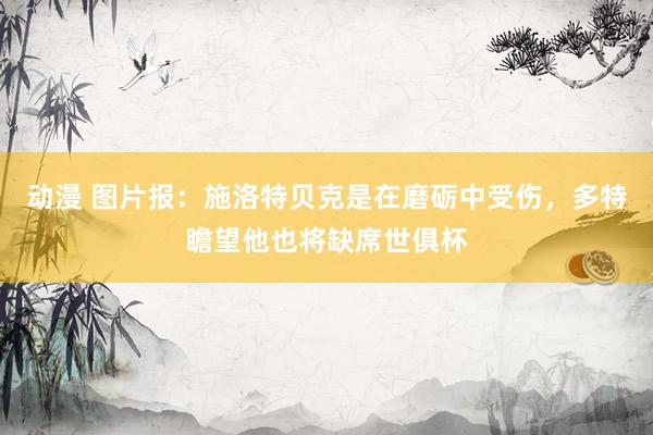 动漫 图片报：施洛特贝克是在磨砺中受伤，多特瞻望他也将缺席世俱杯